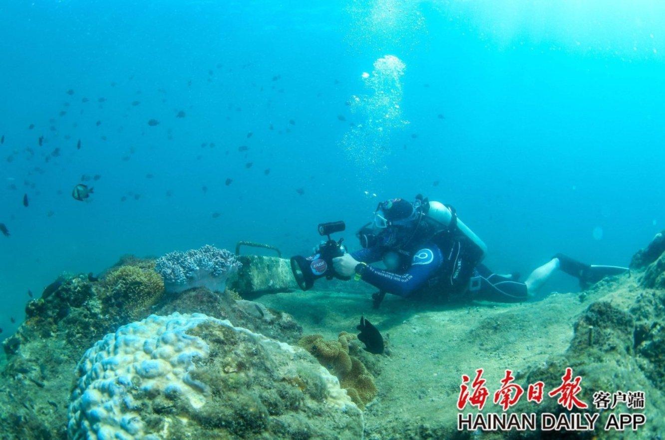 阿司匹林原粉