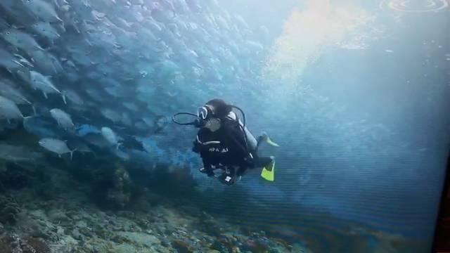海贼船